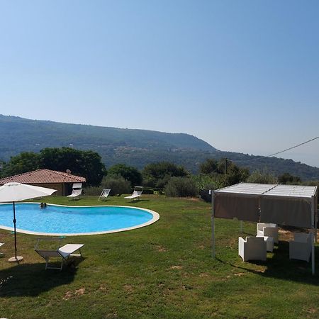 Villa Mimosa Tropea 里卡迪 外观 照片