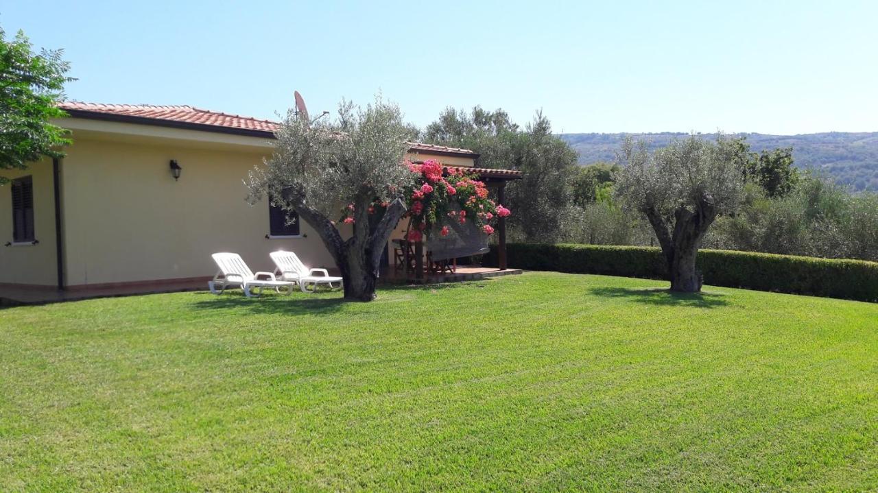 Villa Mimosa Tropea 里卡迪 外观 照片