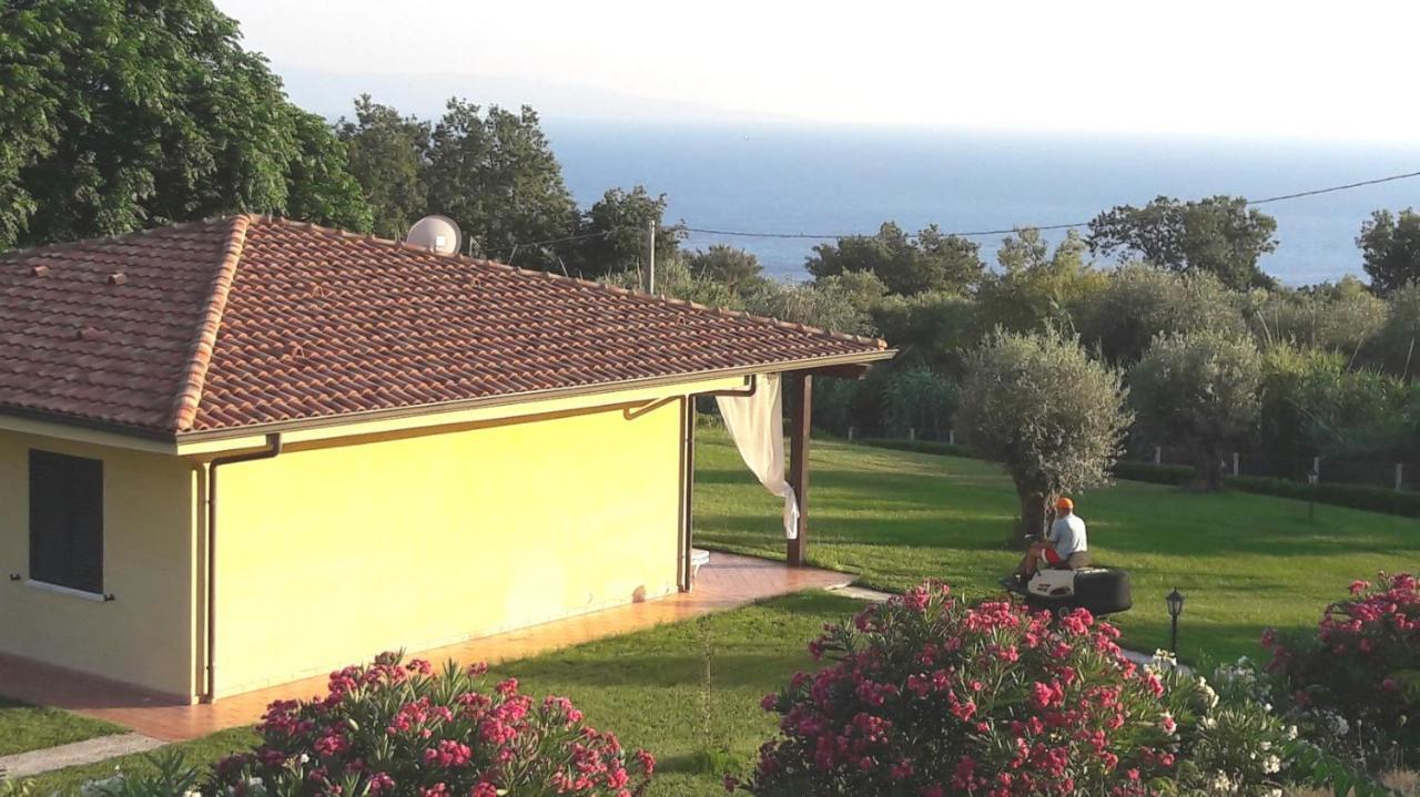 Villa Mimosa Tropea 里卡迪 外观 照片