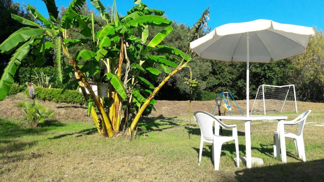 Villa Mimosa Tropea 里卡迪 外观 照片