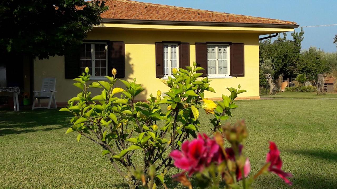 Villa Mimosa Tropea 里卡迪 外观 照片