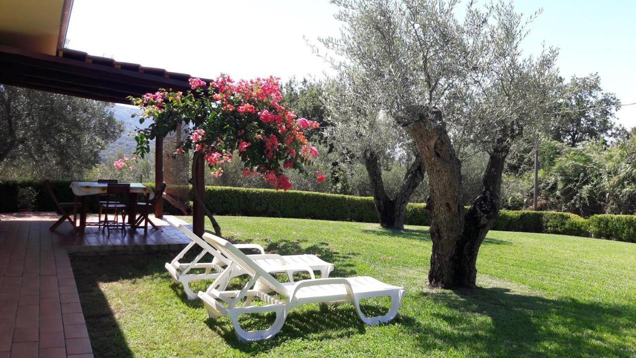 Villa Mimosa Tropea 里卡迪 外观 照片
