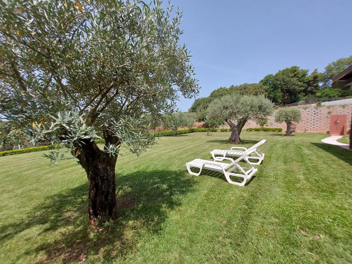 Villa Mimosa Tropea 里卡迪 外观 照片