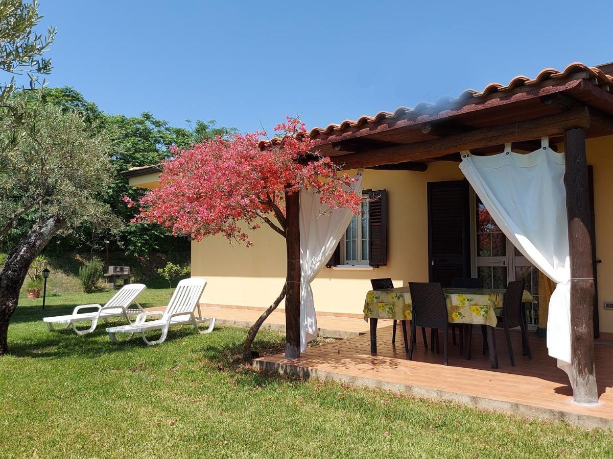 Villa Mimosa Tropea 里卡迪 外观 照片