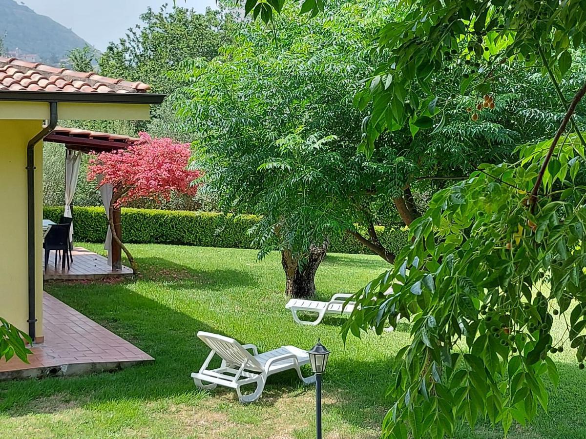 Villa Mimosa Tropea 里卡迪 外观 照片