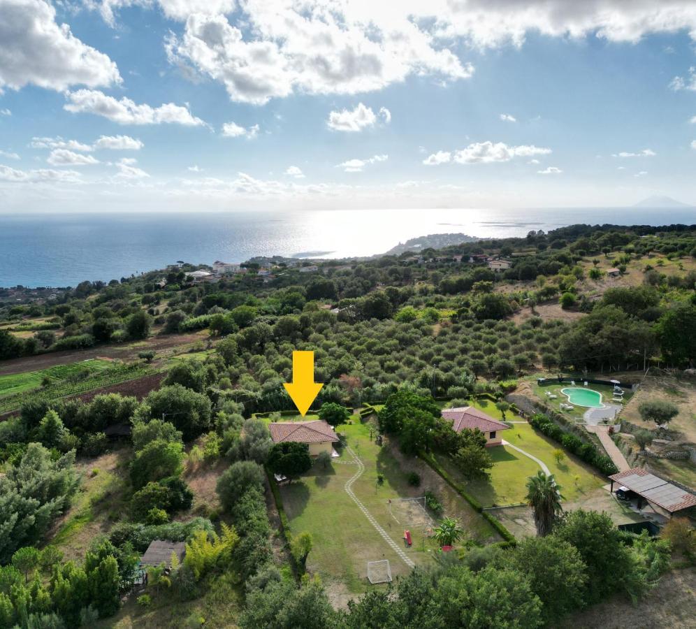 Villa Mimosa Tropea 里卡迪 外观 照片