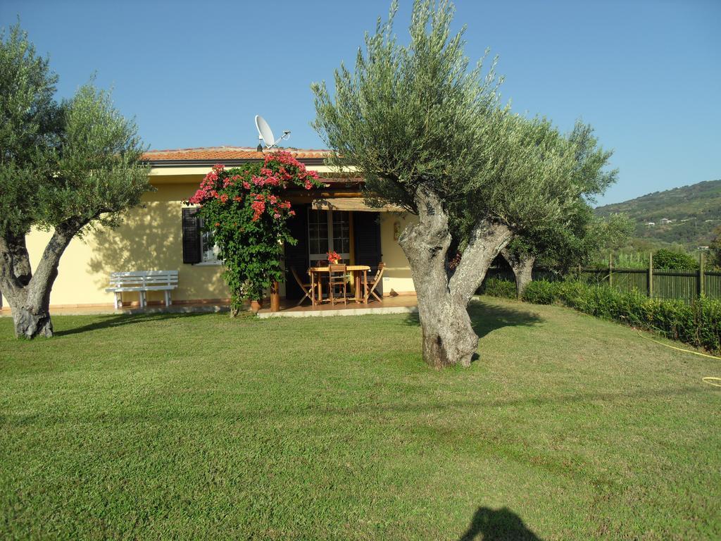 Villa Mimosa Tropea 里卡迪 外观 照片