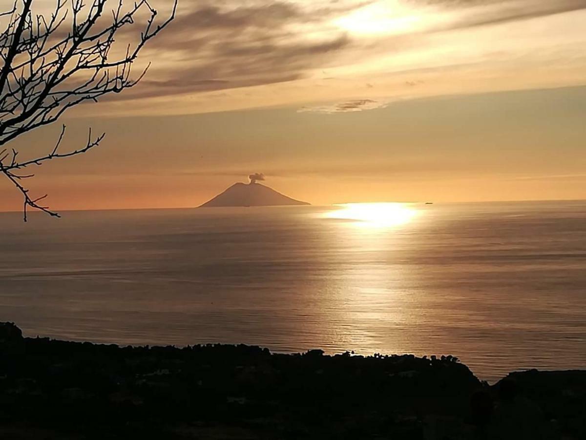 Villa Mimosa Tropea 里卡迪 外观 照片